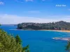 57 The Serpentine, Avalon Beach, NSW 2107-Image