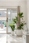 57 Thirza Avenue, Clovelly Park, SA 5042-Image