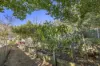 57 William Street, Toronto, NSW 2283-Image