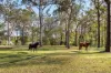 570 Boston Road, Chandler, Qld 4155-Image