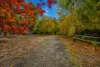 5703 Huon Highway, Surges Bay, Tas 7116-Image