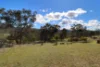 575 Oaky Creek Road, Wyangala, NSW 2808-Image