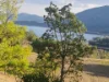 575 Oaky Creek Road, Wyangala, NSW 2808-Image