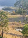 575 Oaky Creek Road, Wyangala, NSW 2808-Image