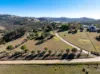 575 Oaky Creek Road, Wyangala, NSW 2808-Image