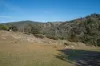 575 Oaky Creek Road, Wyangala, NSW 2808-Image