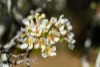 5766 Arthur Highway, Taranna, Tas 7180-Image
