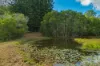 579 Woondum Road, Mothar Mountain, Qld 4570-Image