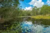 579 Woondum Road, Mothar Mountain, Qld 4570-Image