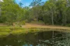 579 Woondum Road, Mothar Mountain, Qld 4570-Image