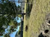 58-60 Rugby Street, Mitchell, Qld 4465-Image