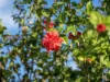 58 Aldinga Road, Gwandalan, NSW 2259-Image