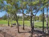 58 Arnold Palmer Drive, Parkwood, Qld 4214-Image