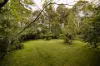 58 Balmoral Road, Leura, NSW 2780-Image