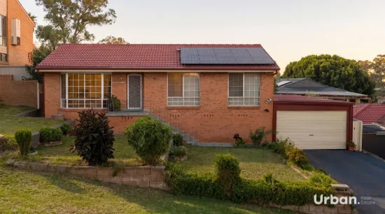 58 Boyd Street, Eagle Vale, NSW 2558