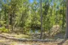 58 Bradford Road, Glenwood, Qld 4570-Image