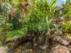 58 Bridgman Drive, Reedy Creek, Qld 4227-Image