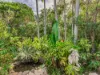 58 Bridgman Drive, Reedy Creek, Qld 4227-Image