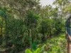 58 Bridgman Drive, Reedy Creek, Qld 4227-Image