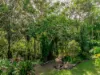 58 Bridgman Drive, Reedy Creek, Qld 4227-Image