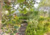 58 Calume Street, Hillman, WA 6168-Image