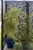 58 Chestwood Crescent, Sippy Downs, Qld 4556-Image