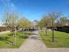 58 Congenial Loop, Atwell, WA 6164-Image