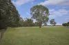 58 E Gibbons Road, Hamilton, Vic 3300-Image