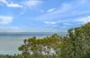 58 Flinders Street, McCrae, Vic 3938-Image