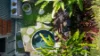 58 Forestwood Drive, Buderim QLD 4556-Image