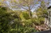 58 Forrester Terrace, Bardon, Qld 4065-Image