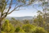 58 Kieman Road, Birnam, Qld 4352-Image