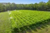 58 Lagoon Pocket Road, Lagoon Pocket, Qld 4570-Image