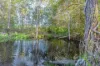 58 Lagoon Pocket Road, Lagoon Pocket, Qld 4570-Image
