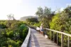 58 Lumeah Drive, Mount Coolum, Qld 4573-Image