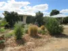 58 MacPherson Street, Carnamah WA 6517-Image