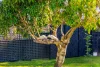 58 Main Arm Road, Mullumbimby, NSW 2482-Image