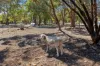 58 Mairinger Way, Wundowie, WA 6560-Image