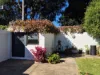 58 Marlborough Street, Leichhardt, NSW 2040-Image