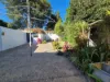 58 Marlborough Street, Leichhardt, NSW 2040-Image