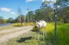 58 McGhee Crescent, Agnes Water, Qld 4677-Image