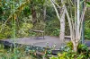 58 McGhee Crescent, Agnes Water, Qld 4677-Image