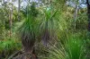 58 McGhee Crescent, Agnes Water, Qld 4677-Image