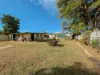 58 Murray Street, Kerang, Vic 3579-Image