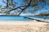 58 Muston Street, Mosman NSW 2088-Image
