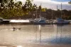 58 Muston Street, Mosman NSW 2088-Image