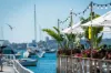 58 Muston Street, Mosman NSW 2088-Image