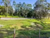 58 Nimbin Road, Lismore, NSW 2480-Image