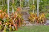 58 Orchid Drive, Mount Cotton, Qld 4165-Image