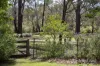 58 Oxley Road, Kangaroo Ground, Vic 3097-Image